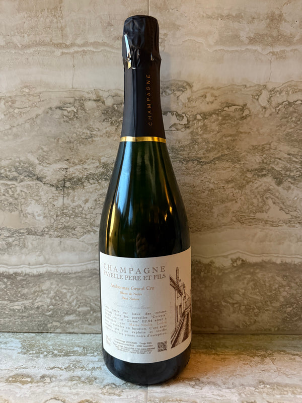 Fabrice Payelle, Ambonnay Grand Cru, Marie-Noelle Ledru, NV